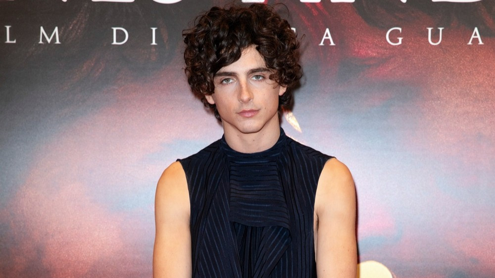 Кого Тимоти Шаламе считает одним из лучших актеров всех времен?