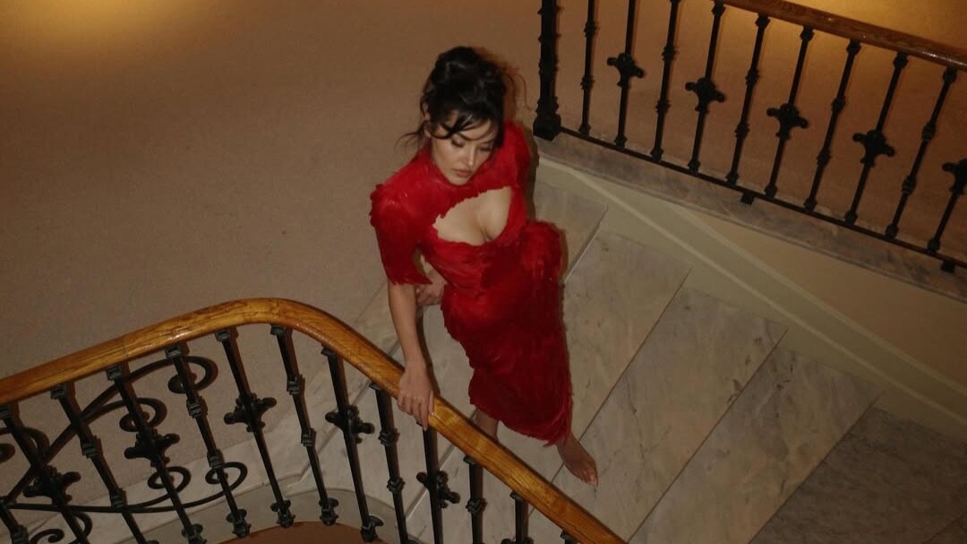 dilara findikoglu
