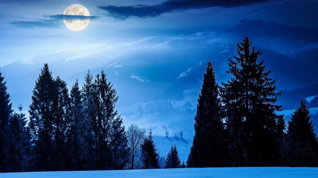 гороскоп на 2026 год