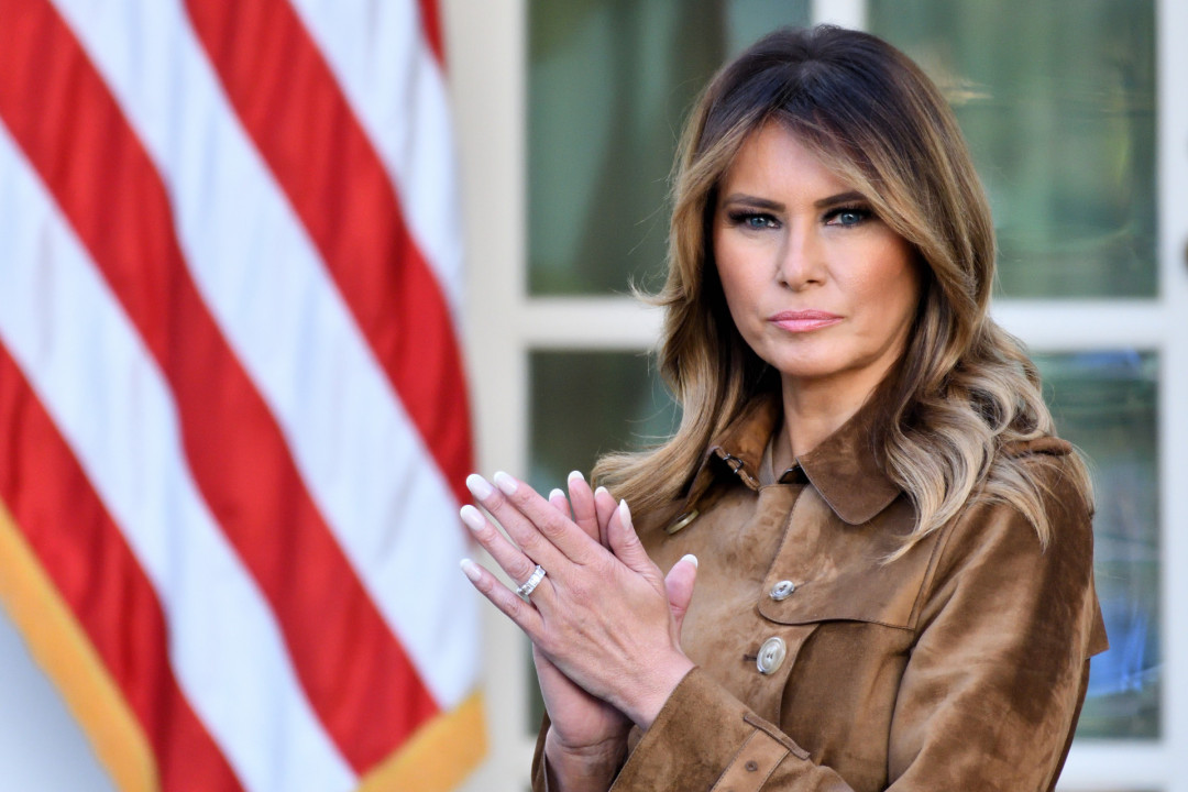 Рассматриваем официальный портрет первой леди США Мелании Трамп