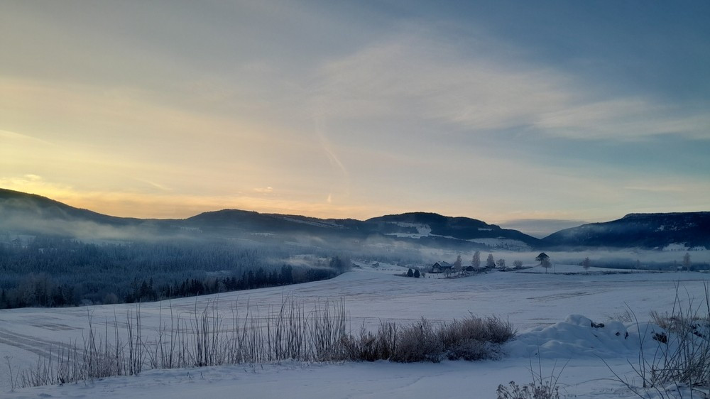 гороскоп с 1 по 7 декабря 2025