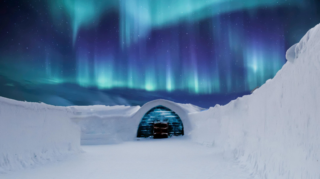 желтоқсан жұлдыз жорамал