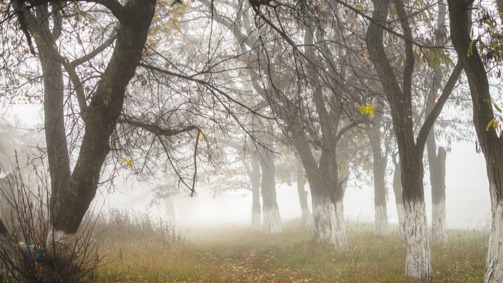 гороскоп с 10 по 16 ноября 2025