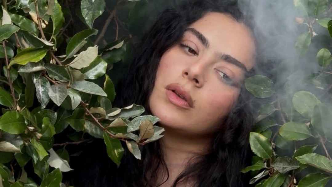 charli xcx