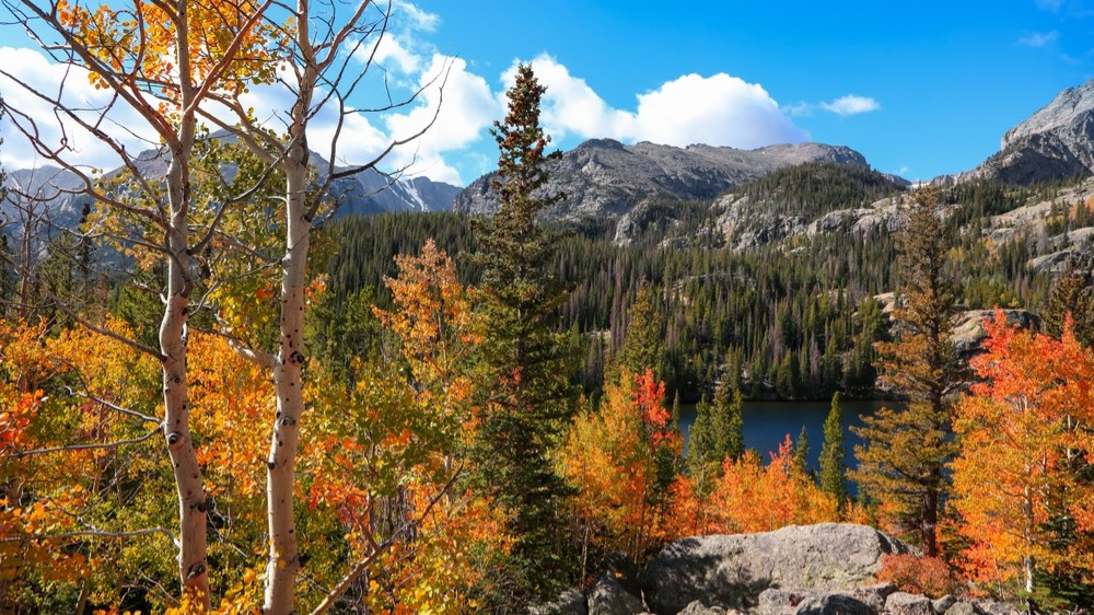 гороскоп с 24 по 30 ноября 2025