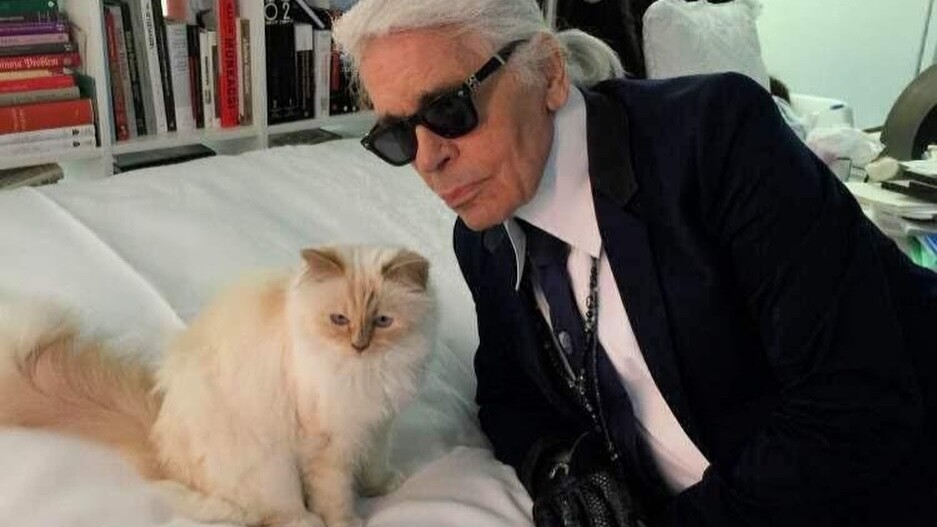 choupette