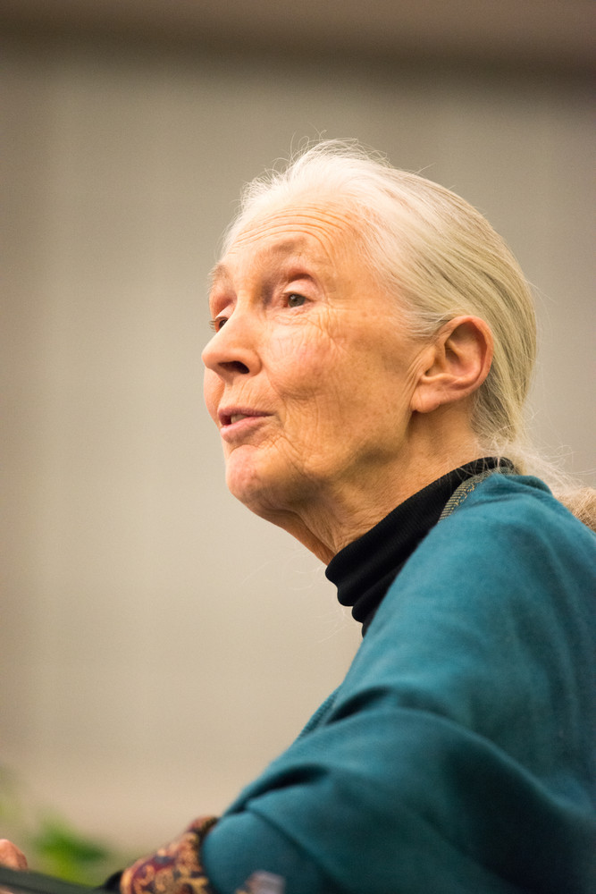 Звезды, которые ушли из жизни в 2025 году