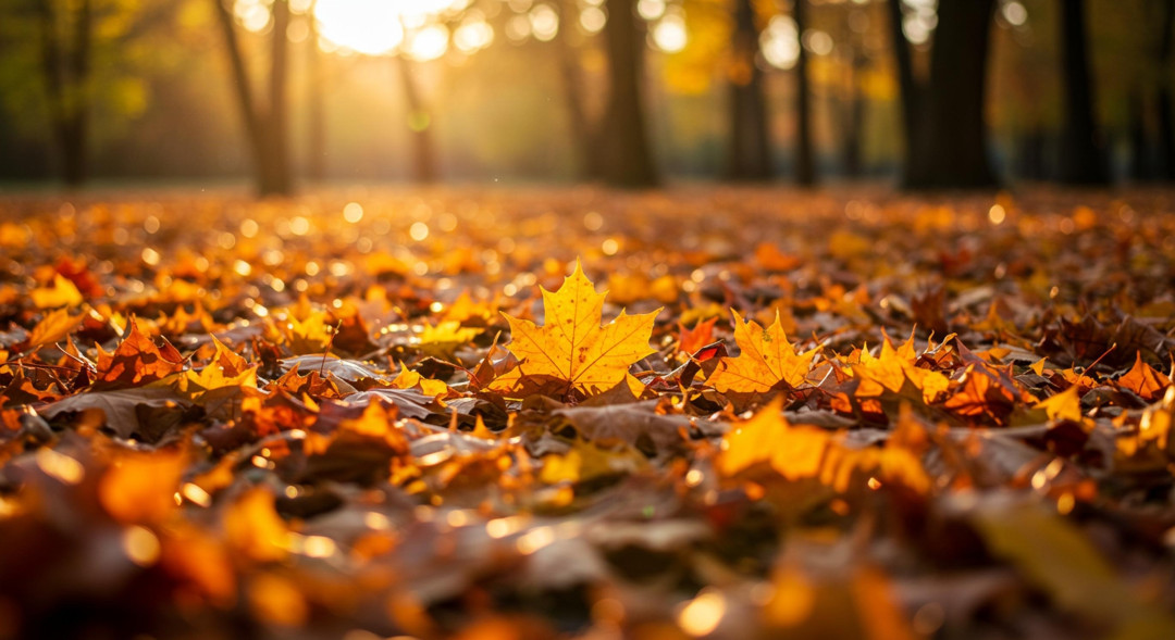 «Что такое осень»: почему обостряется тревога и нарушается сон