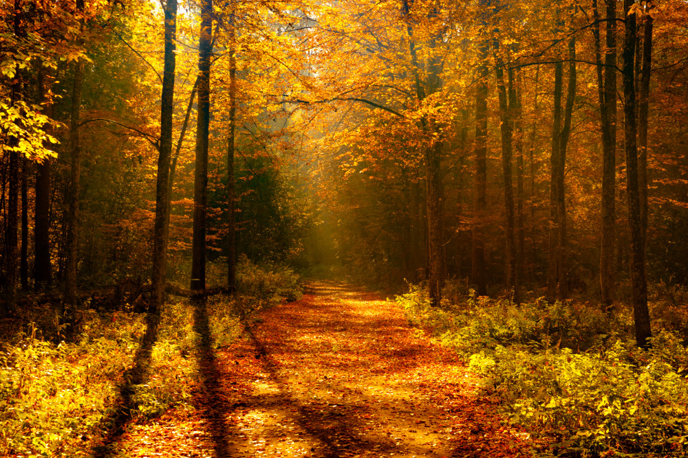 гороскоп с 20 по 26 октября 2025