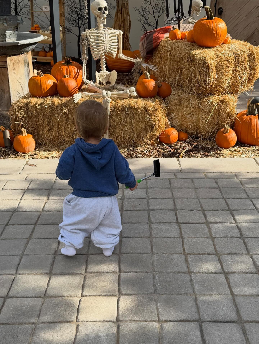 Маленький Джек и большие тыквы: Хейли Бибер поделилась трогательными фотографиями своего сына