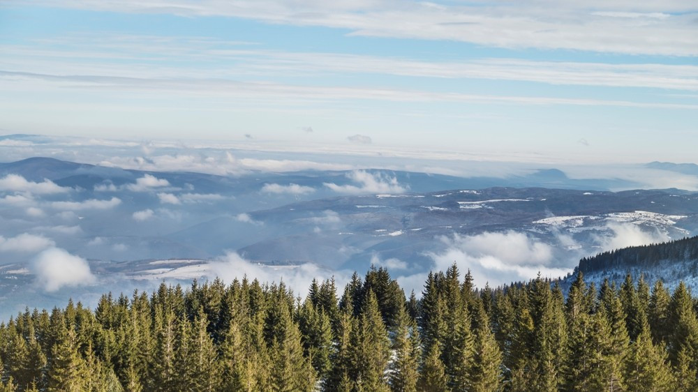 гороскоп с 22 по 28 декабря 2025