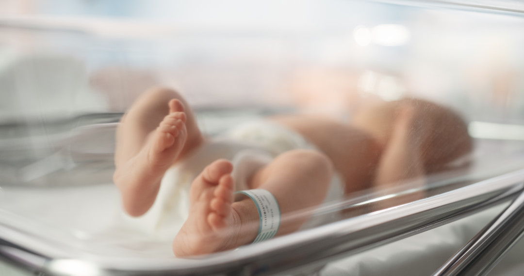 Источник изображения: shutterstock.com