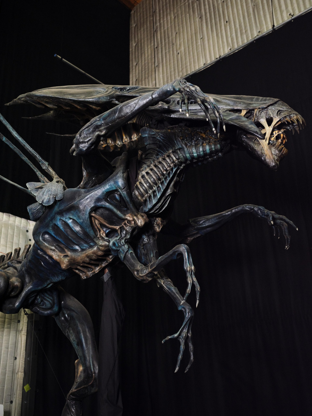 Добро пожаловать во вселенную Кэмерона