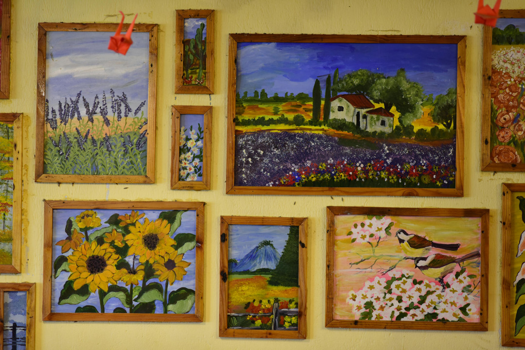 colorful-landscape-paintings-on-wall-display-image