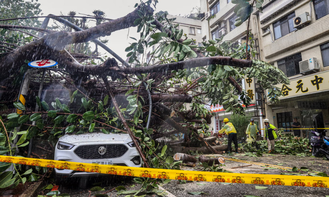 Фото: The Guardian