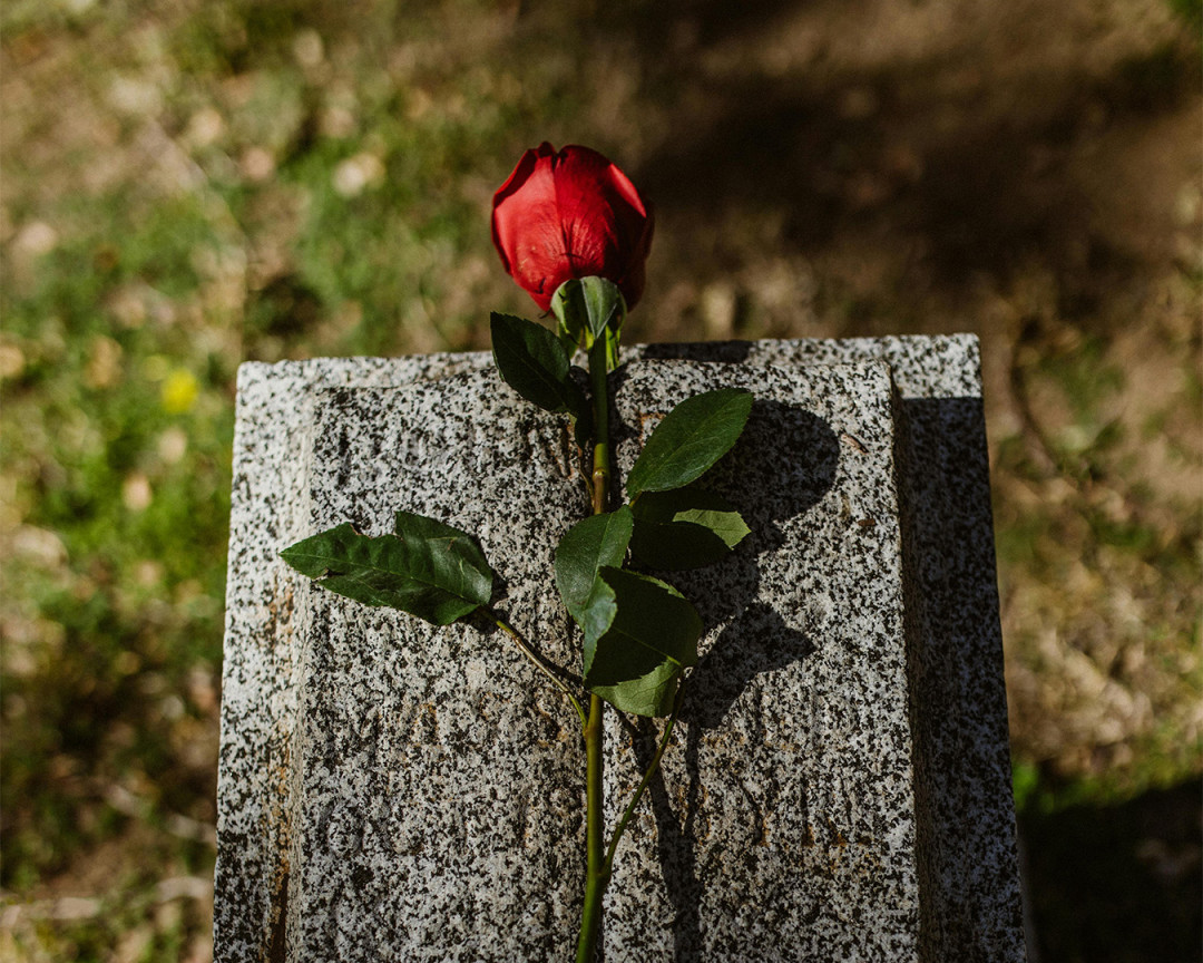 Цифровое кладбище