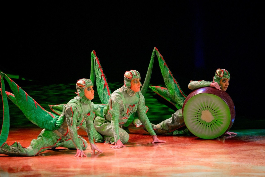 Секреты закулисья и аншлаг на премьере: как Cirque du Soleil открыл гастроли OVO в Алматы