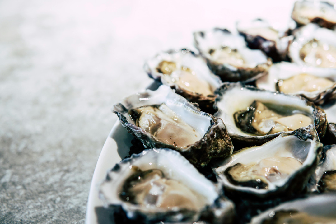 oysters-on-a-plate-fresh-seafood-image