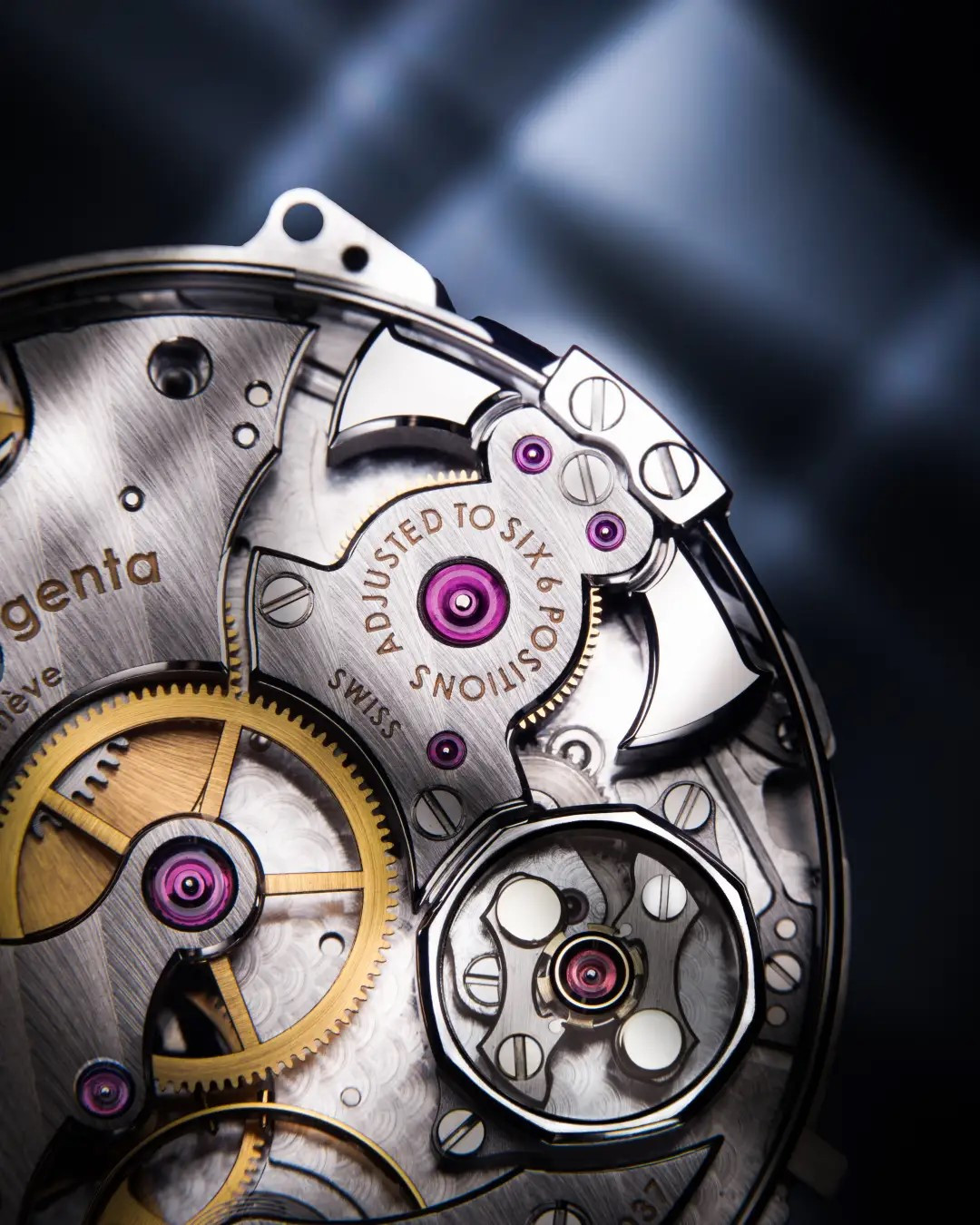 watch-caseback-closeup-image