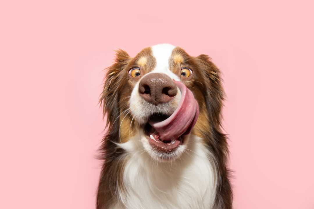 Фото: Shutterstock