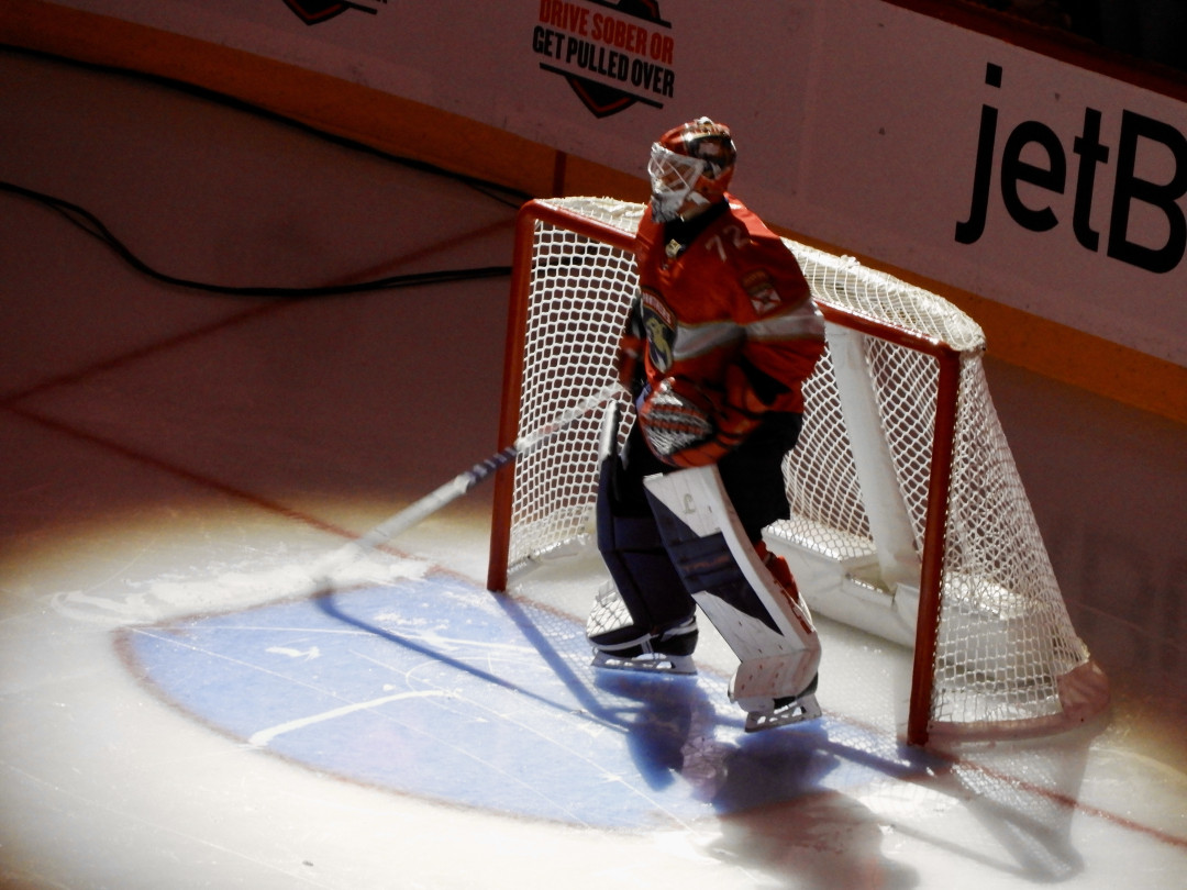 NHL. Конец первого периода