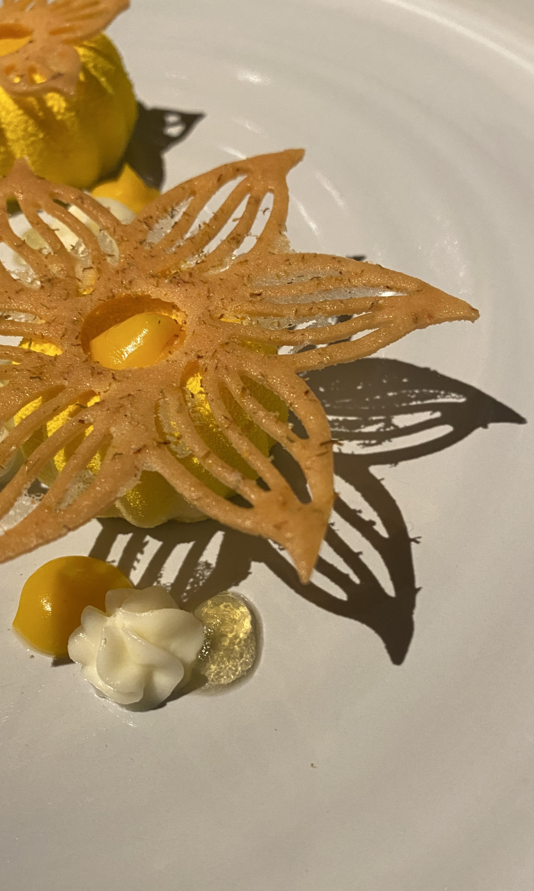 dish-at-dinner-in-restaurant-piano35-image