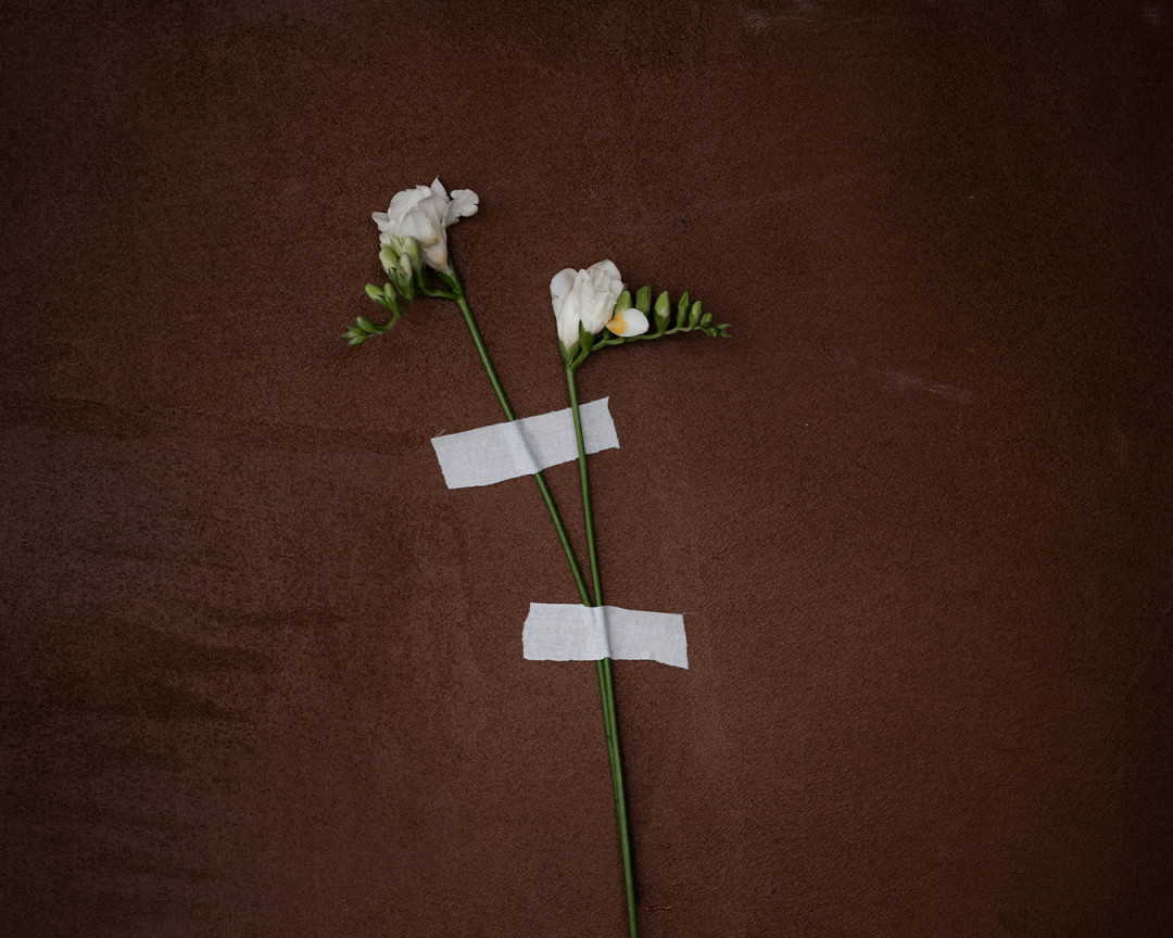 Источник изображения: pexels