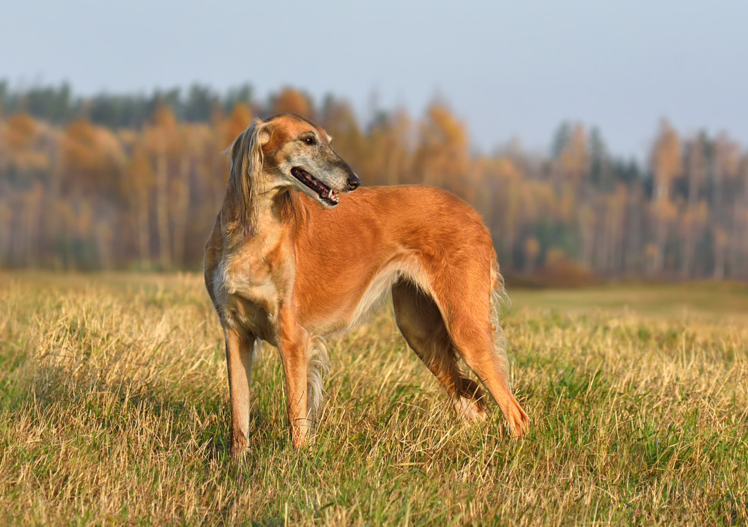 Источник изображения: shutterstock.com