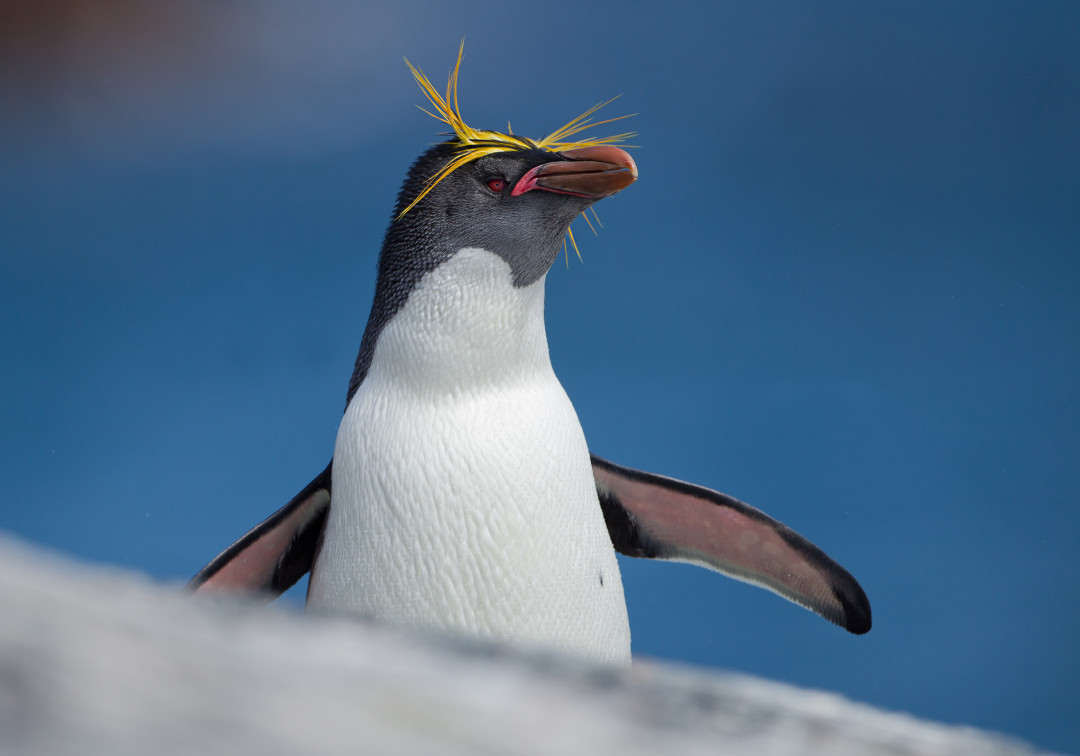 Источник фото: shutterstock.com