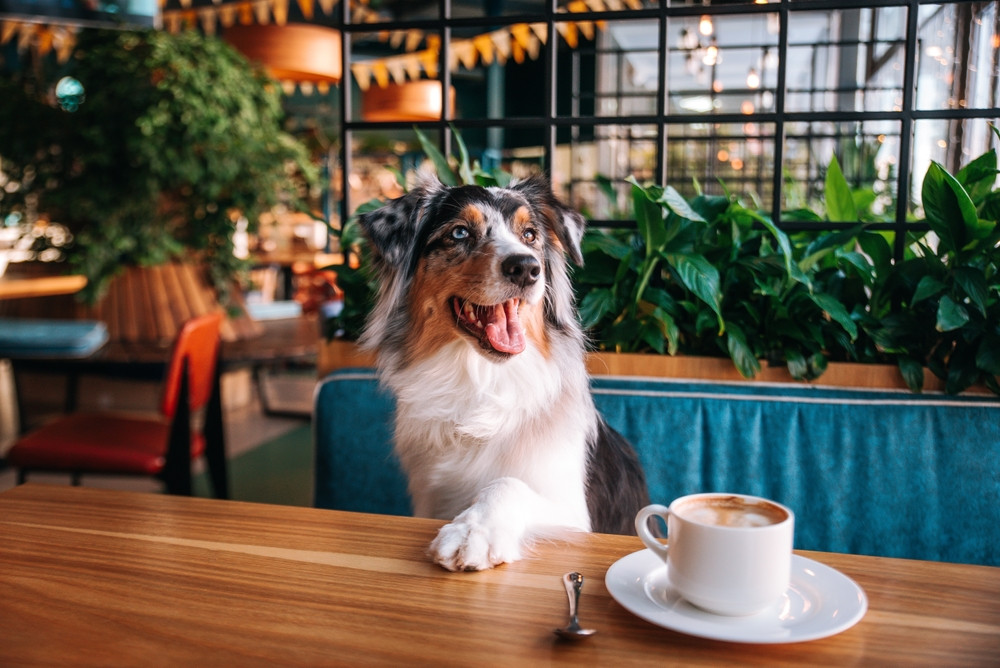 Фото: Shutterstock