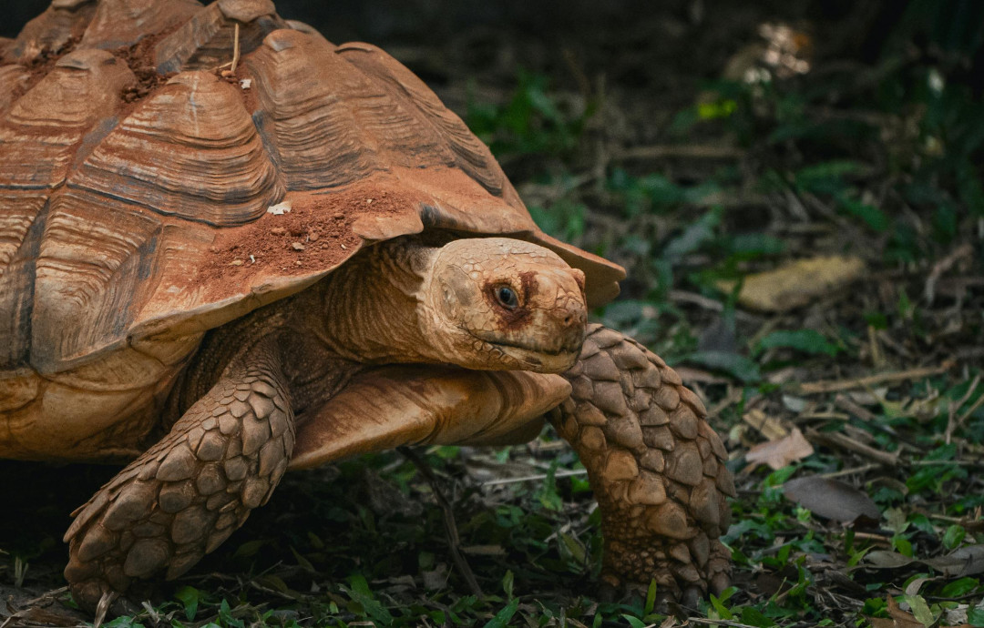 Источник изображения: pexels.com