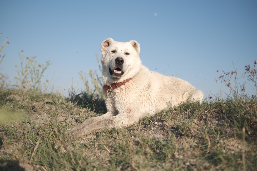 Источник изображения: shutterstock.com