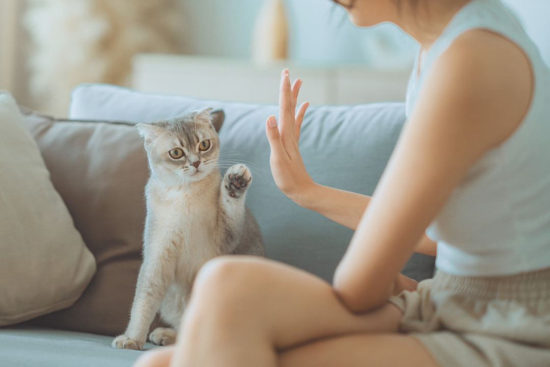Источник изображения: shutterstock.com