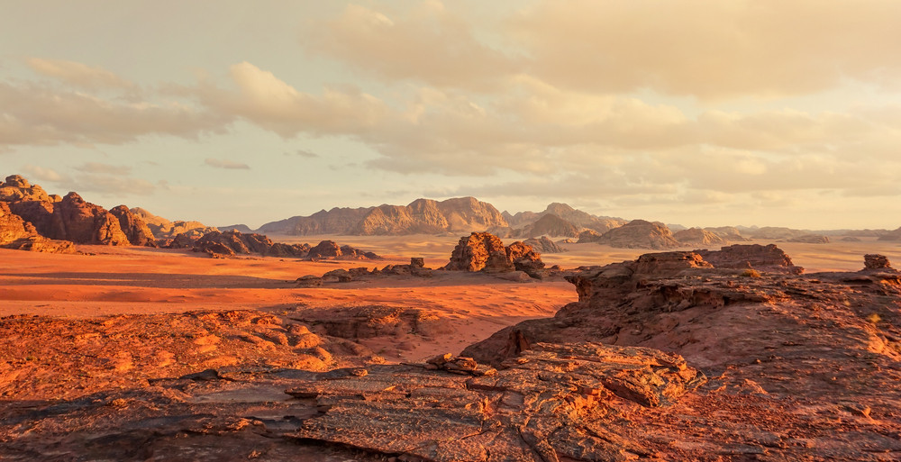 Фото: Shutterstock