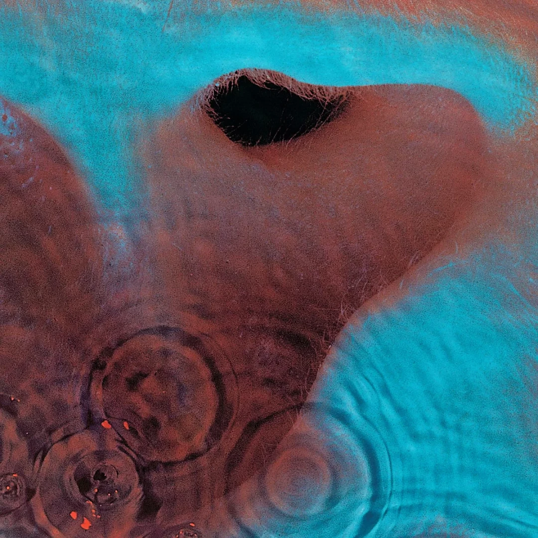 Еще один кирпич в стене или мой ренкинг альбомов Pink Floyd