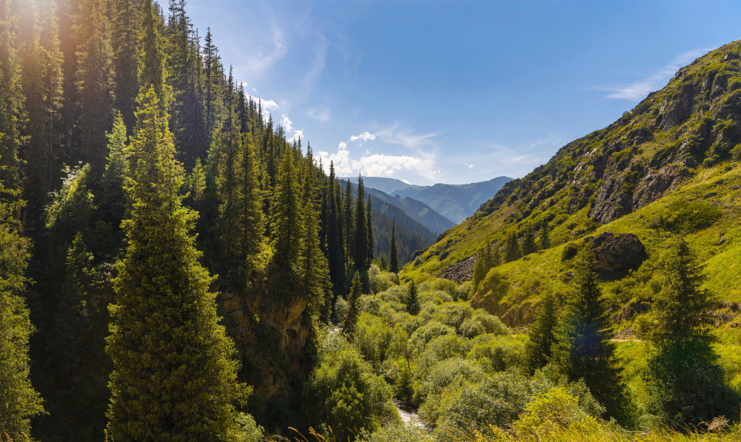 Источник изображения: shutterstock.com