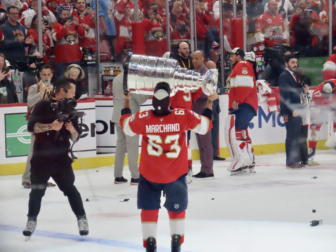 Топ-10 гол-песен NHL