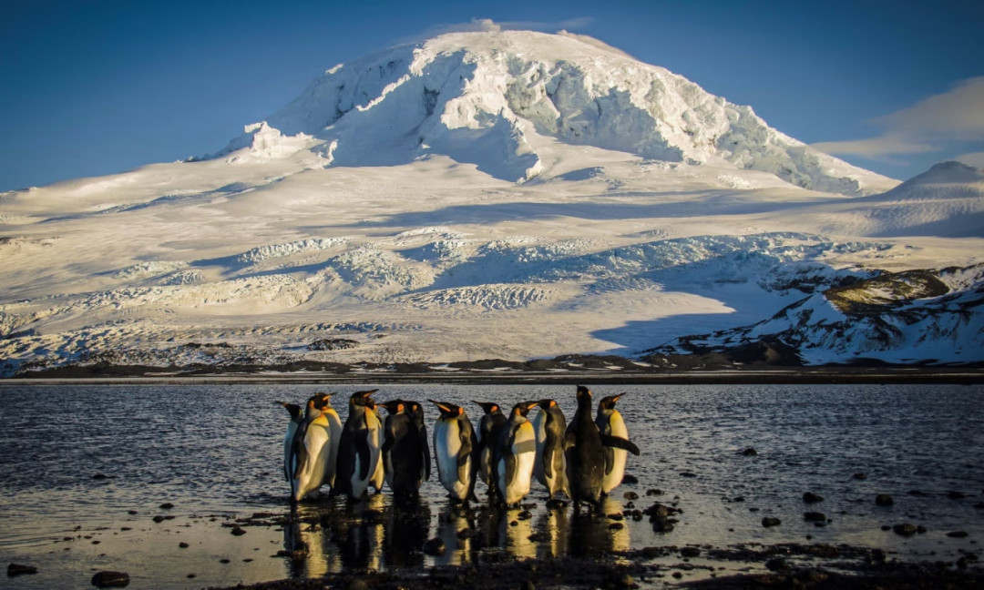 Фото: The Guardian