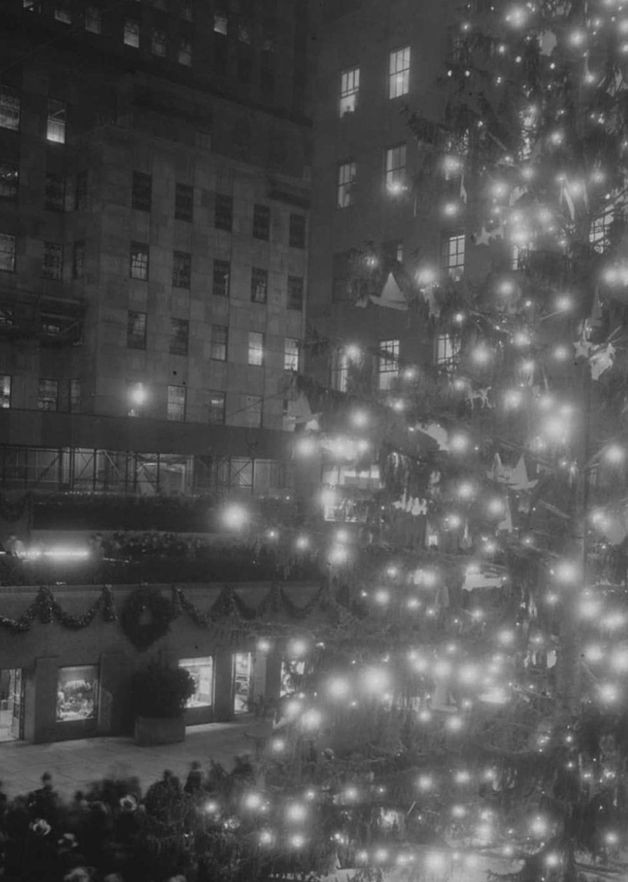 Декабрь, 1933 год