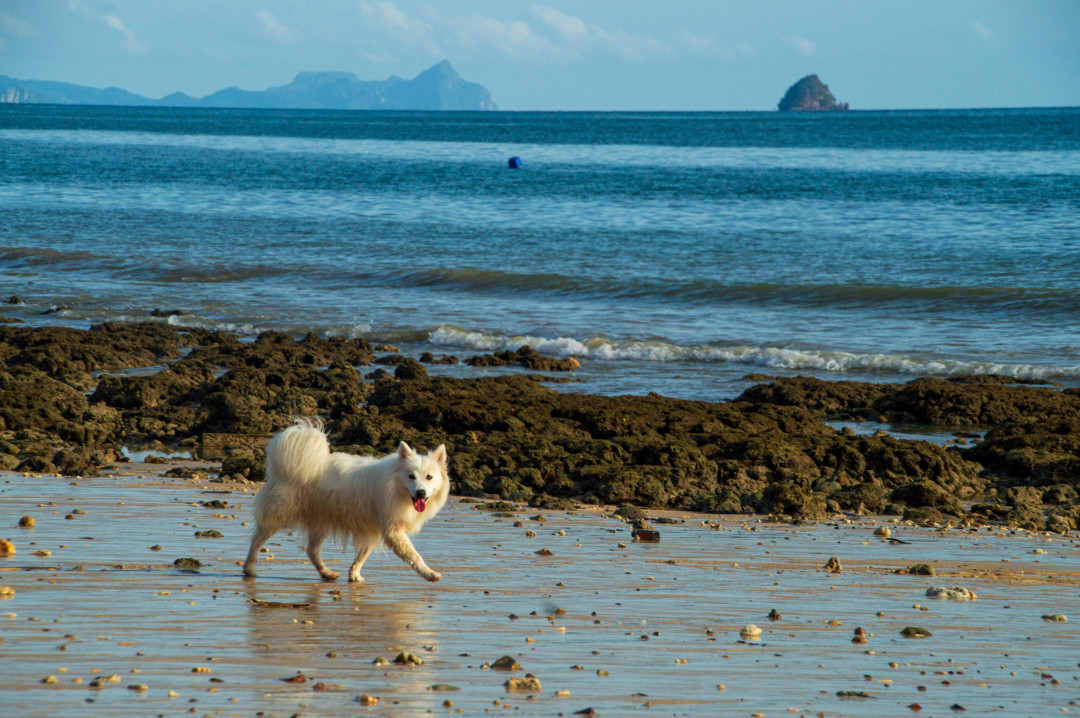 Юг Таиланда: острова, еда и туризм без суеты