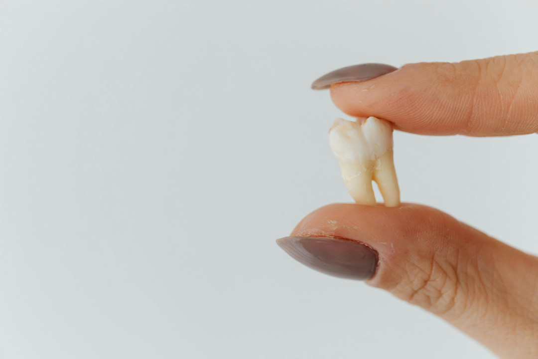 human-hand-holding-extracted-tooth-close-up-image