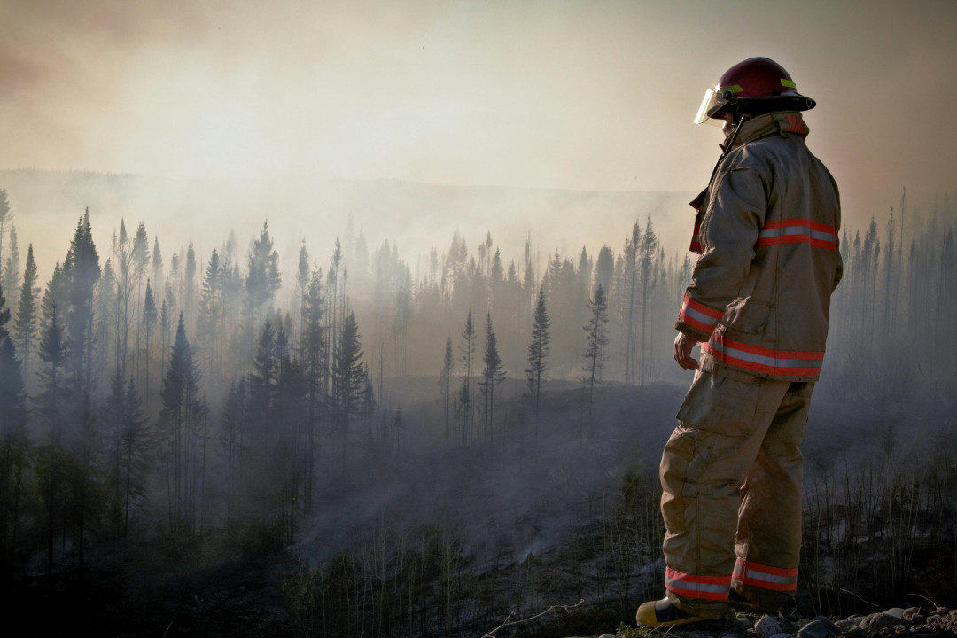 firefighter-standing-in-front-of-burning-forest-image