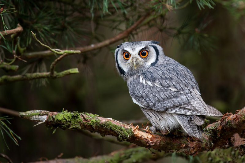 Фото: Shutterstock