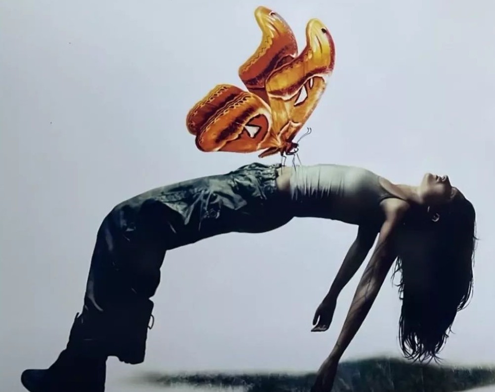 «Видение бабочки»