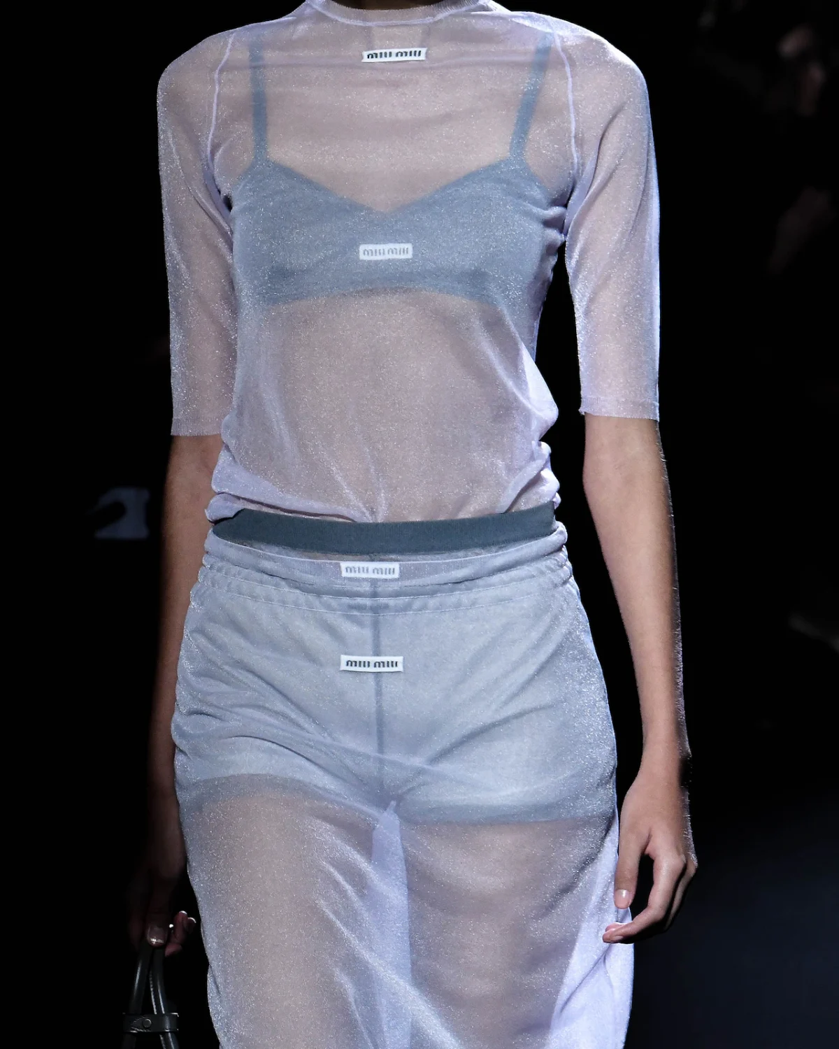 Chanel Miu Miu Louis Vuitton