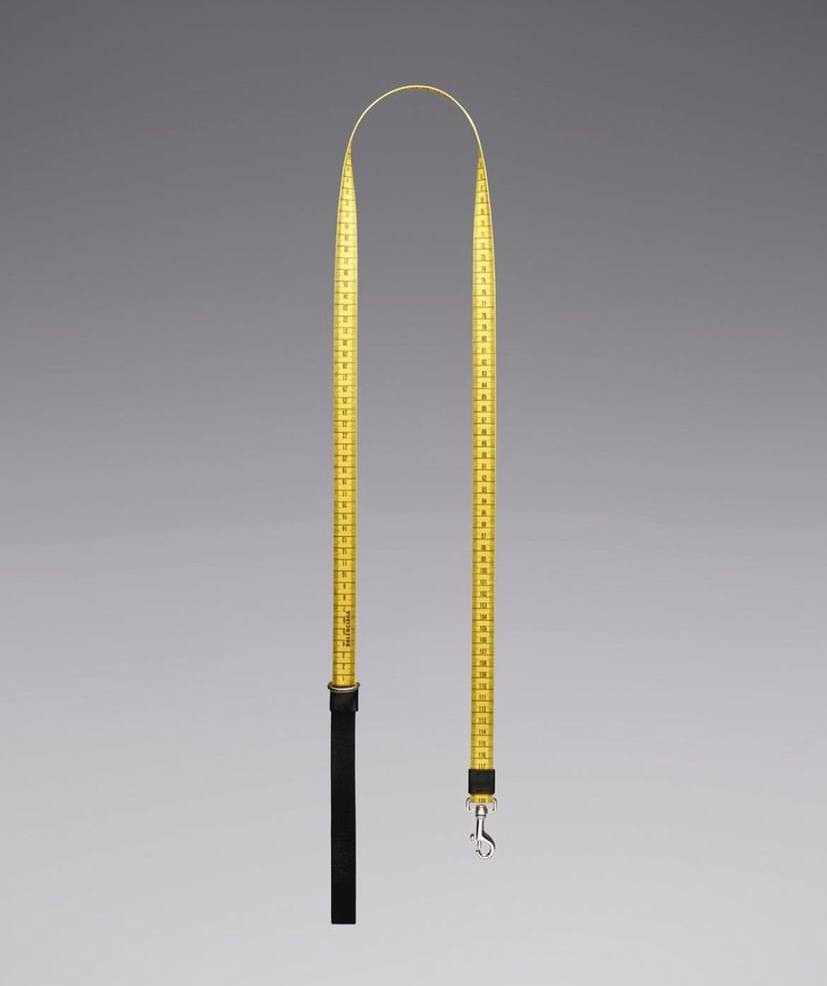 Balenicaga для дома