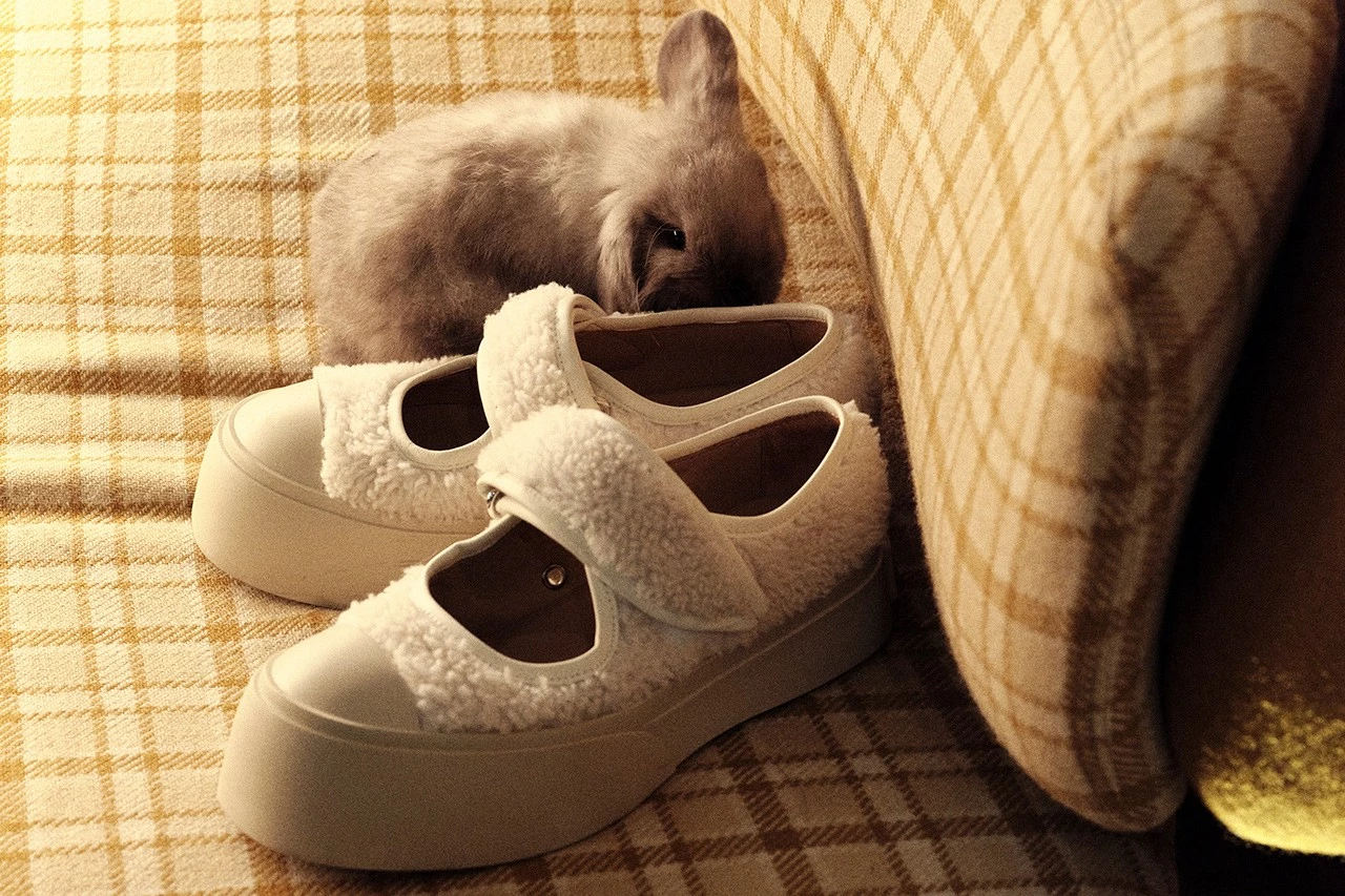 Marni Год кролика