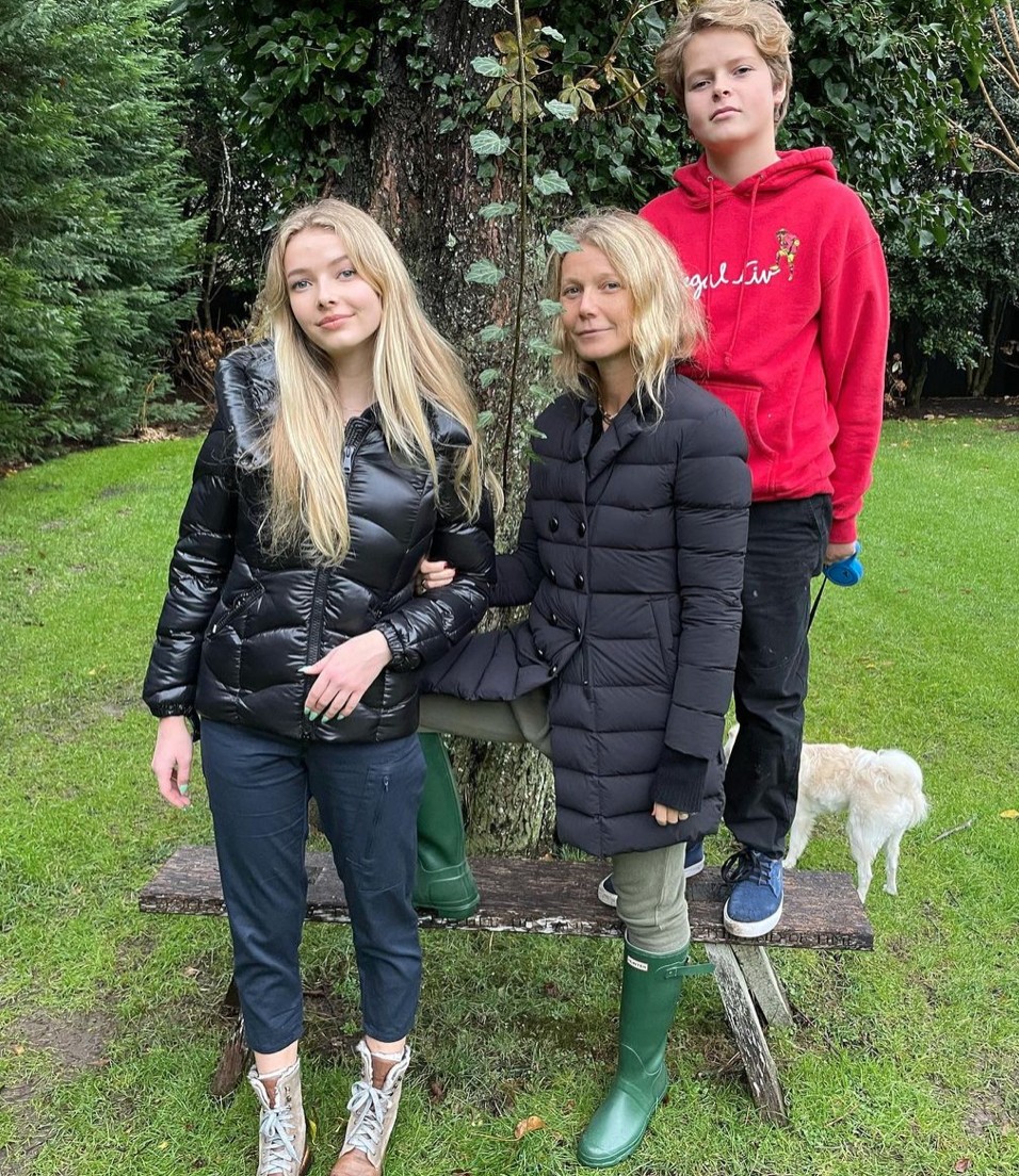 воспитания детей Гвинет Пэлтроу