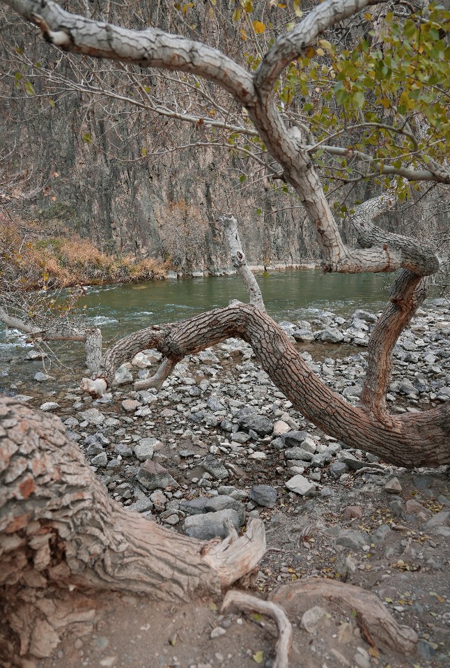 Съемка для ELLE Kazakhstan