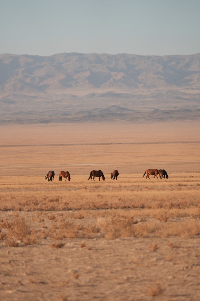 Съемка для ELLE Kazakhstan
